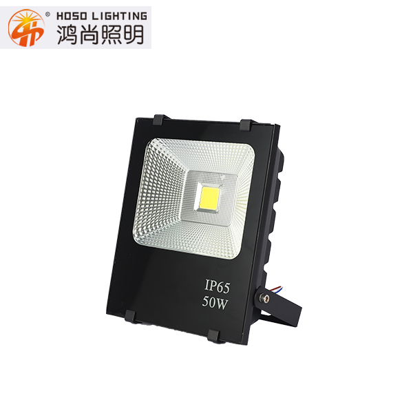 IP65-50W